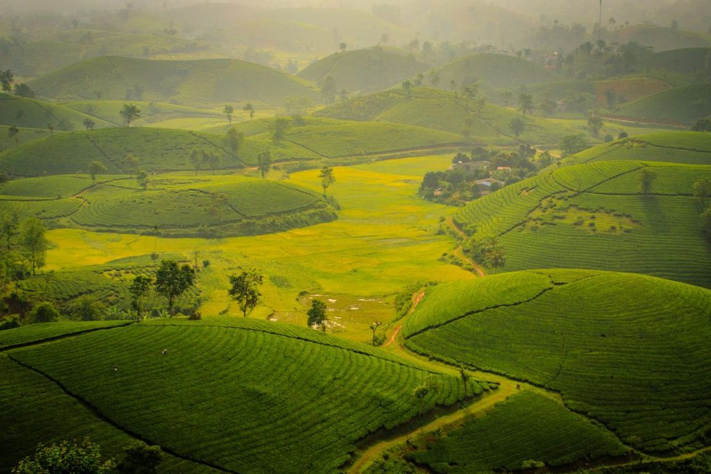 Vietnam nord ou sud : où aller et quand partir ?